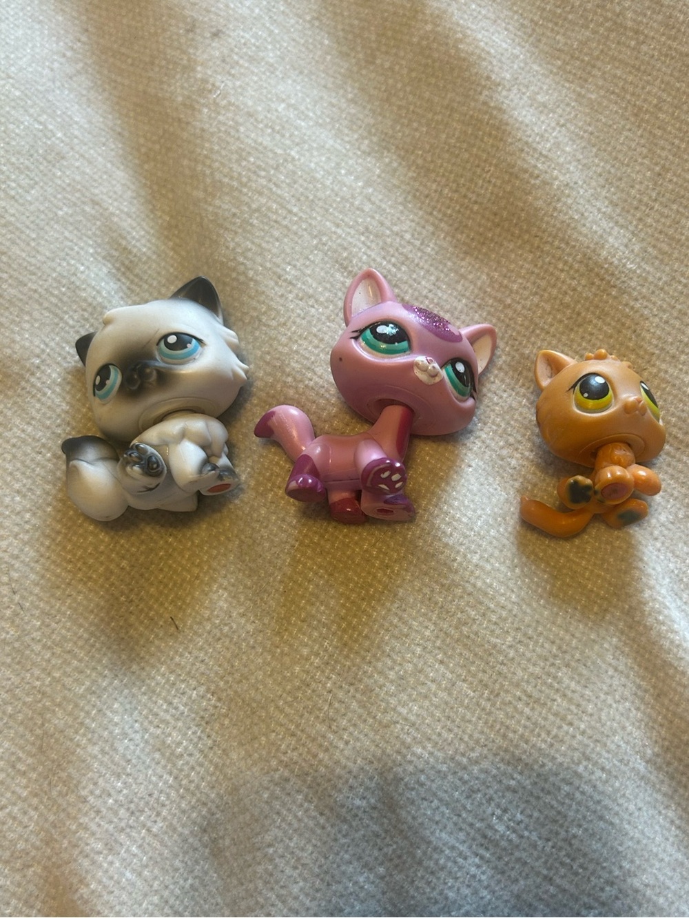 LPS cats